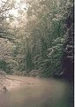 Picture Title - The Gunpowder After the Storm 