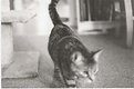 Picture Title - Lucie
