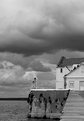 Picture Title - A casa do rio...