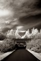 Picture Title - Infrared, first try.