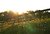 Farm Fence, Shelby County Alabama