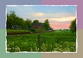 Picture Title - Teunis Vision