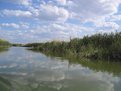 Picture Title - Albufera