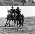 Picture Title - Polo Action