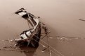 Picture Title - Aqui jaz...