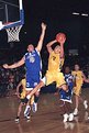 Picture Title - basketball league