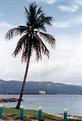 Picture Title - Montego Bay - Jamaica