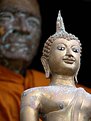 Picture Title - More than sculptures