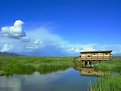 Picture Title - The hut in the marsh