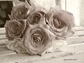 Picture Title - ~ Bouquet in Sepia ~
