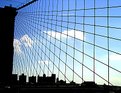 Picture Title - Spiders on Brookylin Bridge