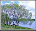 Picture Title - Springtime By The Lakeside!