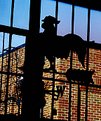 Picture Title - Indoor Weather Vane