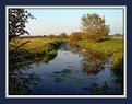 Picture Title - Stream and fields