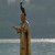 An irreverent cormorant