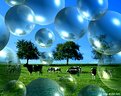 Picture Title - Bubble Land