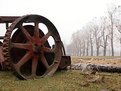 Picture Title - CUTTING THE GRASS