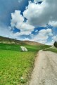 Picture Title - Mountain path