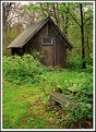 Picture Title - Chapel in Back Yard, 2004