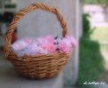 Picture Title - Basket of Beauty #2