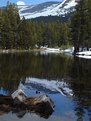 Picture Title - Yosemite Pond