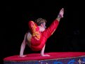 Picture Title - Moscow circus 3