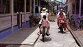 Picture Title - Daily Life at Pulau Ketam