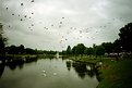 Picture Title - Flight
