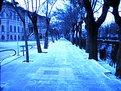 Picture Title - agaclý yol(road of the tree)