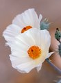 Picture Title - Prickly Poppies on Santa Catalina Island