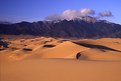 Picture Title - Golden Dunes