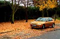 Picture Title - Voiture d'autumne