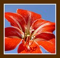 Picture Title - ~~~~~~~