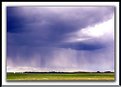 Prairie Rain Shower!