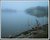 Shoreline in Mist, 2004