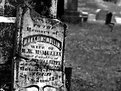 Picture Title - Grainy Grave