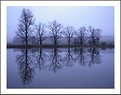 Picture Title - reflected | silence | vol. 3 -