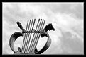 Picture Title - harp of heaven