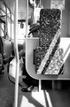 Picture Title - Travelling in a Bus.