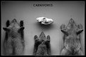 Picture Title - Carnivores