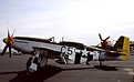 Picture Title - D-Day P-51