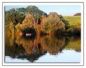 Picture Title - Fishing at Sutton Bingham