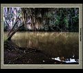 Picture Title - From where I am