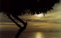 Picture Title - Atardecer