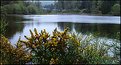 Picture Title - Welsh Lake