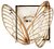 Cicada wings