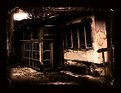 Picture Title - room to roam