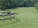 Picture Title - 'walking the dog at Rosetree'