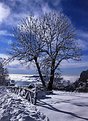 Picture Title - winter