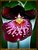 ***Orchid Miltonia***